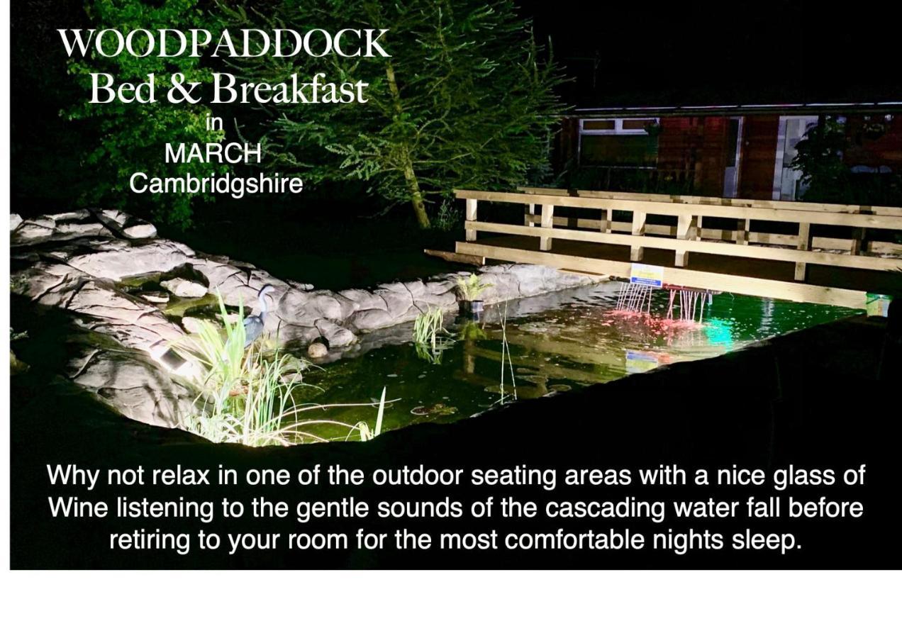 Woodpaddock Bed & Breakfast March Eksteriør billede